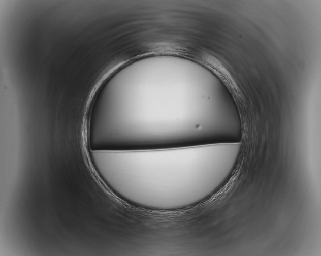 X0000097990804200803241020