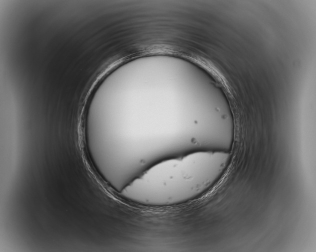 X0000097990806200803241020