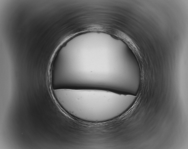 X0000097990808200803241020