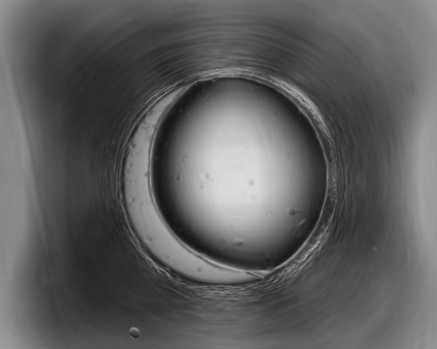 X0000097990809200803241020