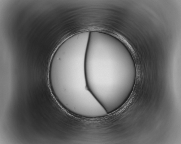 X0000097990810200803241020