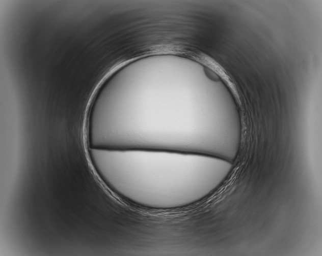 X0000097990811200803241020