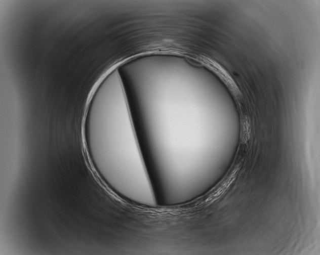 X0000097990812200803241020