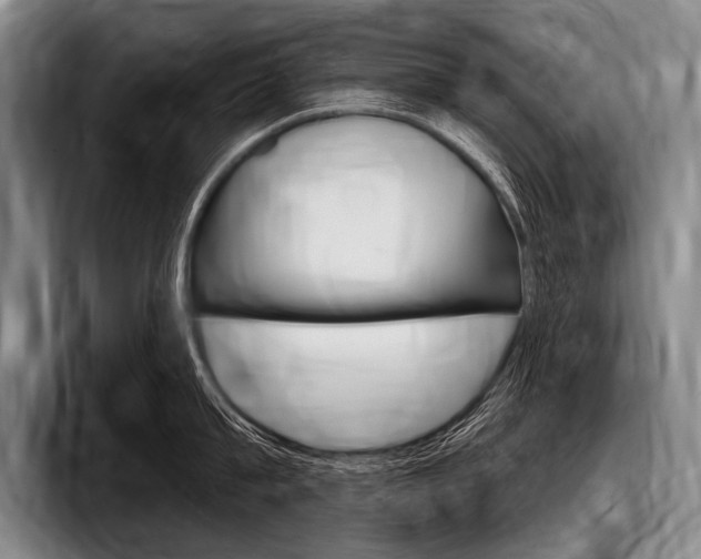 X0000097990815200803241020