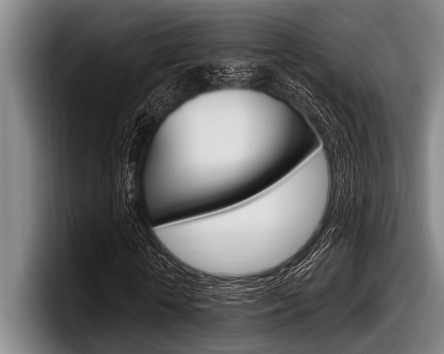 X0000097990818200803241020