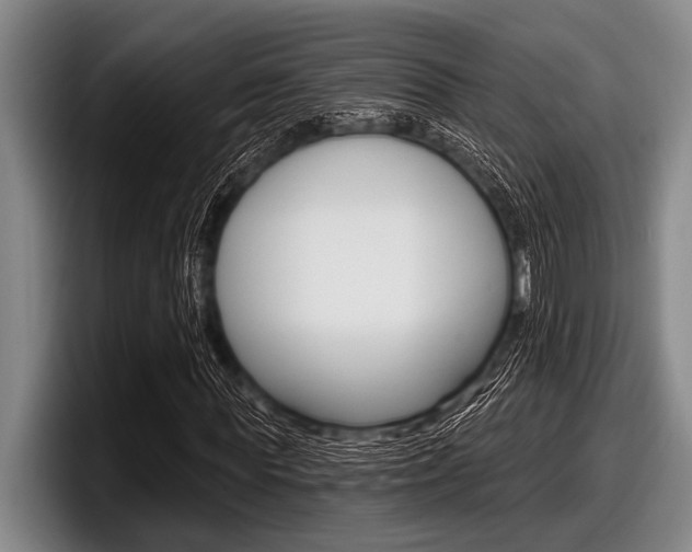 X0000097990819200803241020