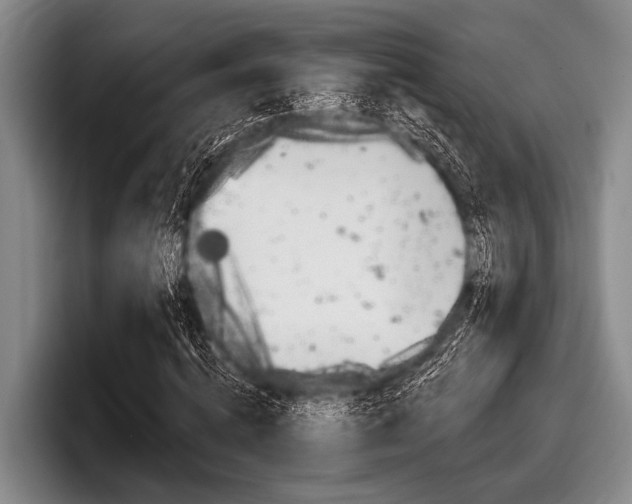 X0000097990820200803241020