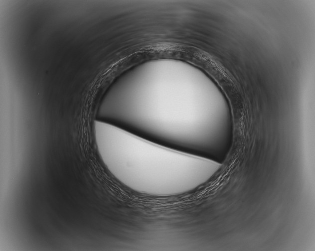 X0000097990821200803241020
