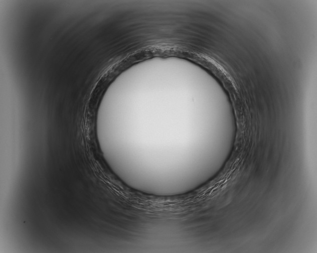X0000097990823200803241020