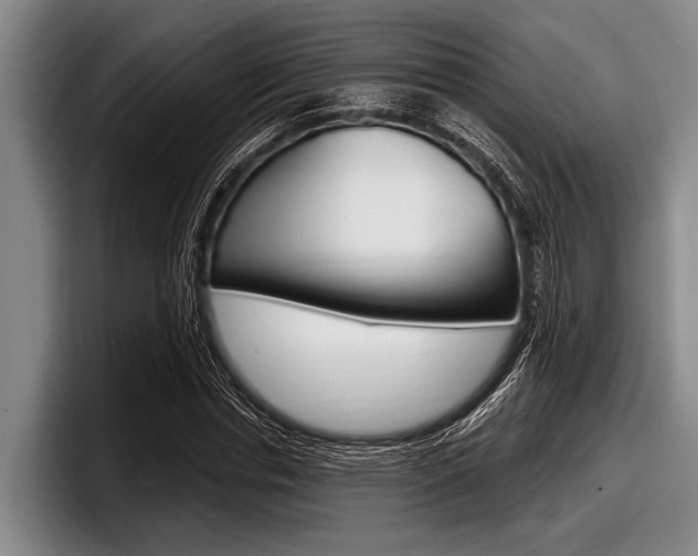X0000097990826200803241020
