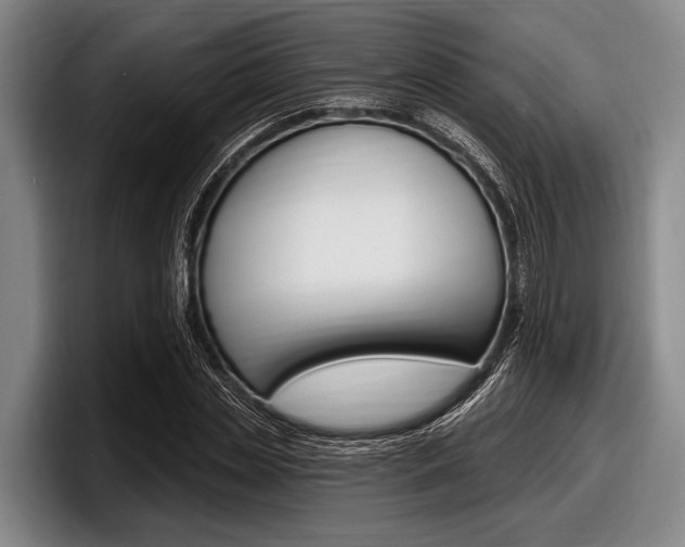 X0000097990829200803241020