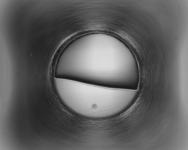 X0000097990830200803241020