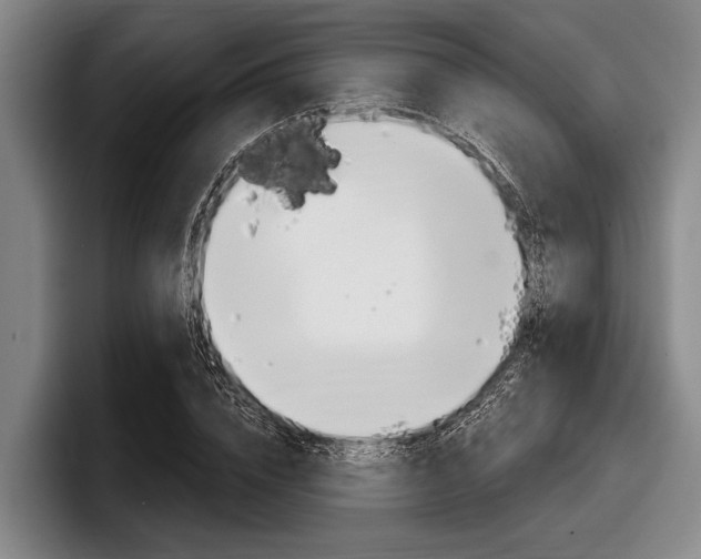X0000097990832200803241020