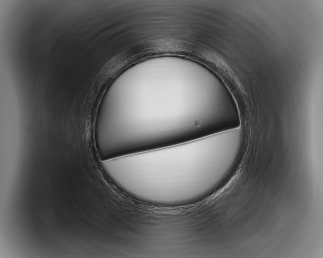 X0000097990833200803241020
