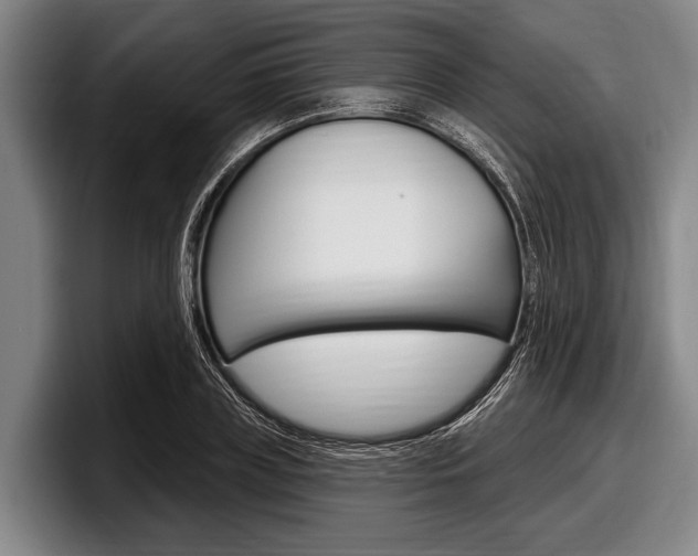 X0000097990835200803241020