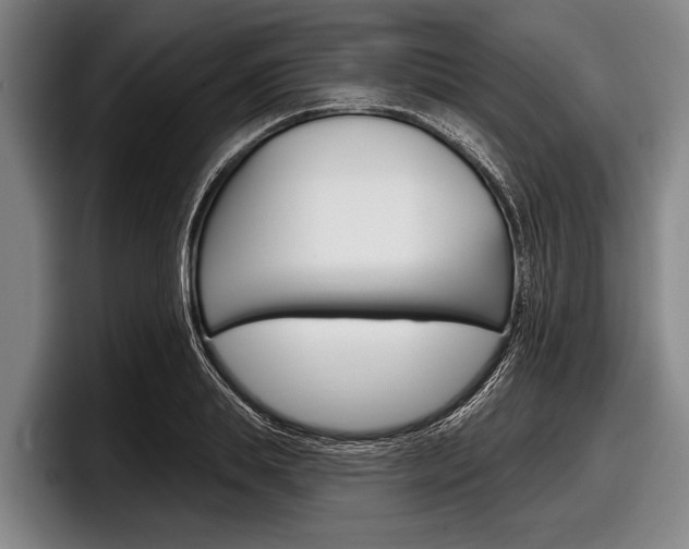 X0000097990839200803241020