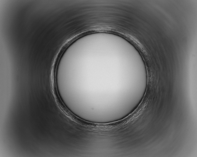 X0000097990840200803241020