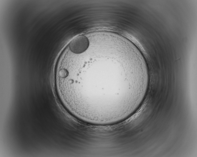 X0000097990844200803241020