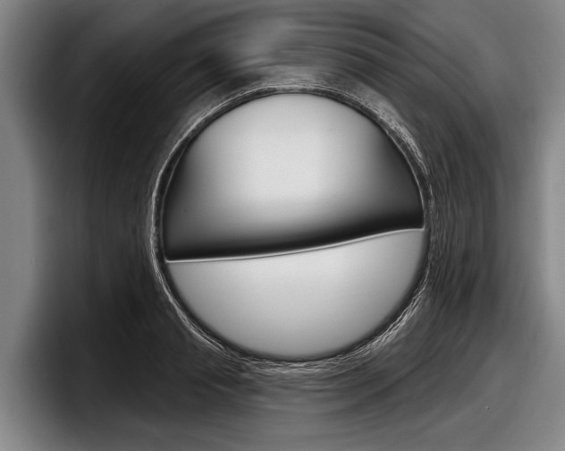 X0000097990845200803241020