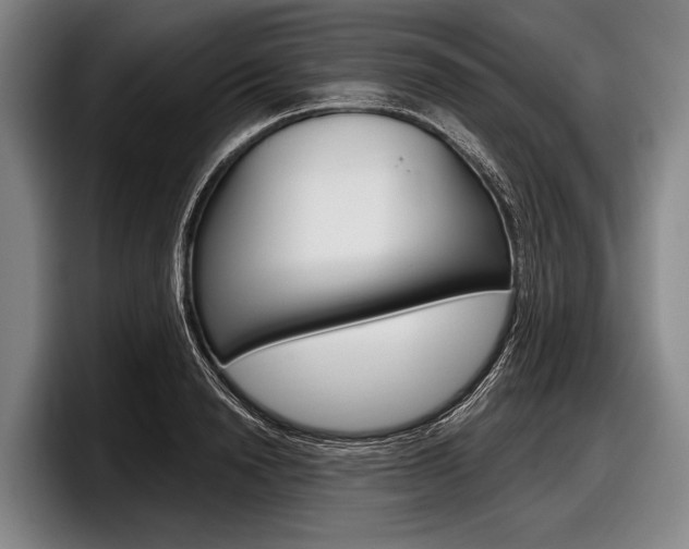 X0000097990846200803241020