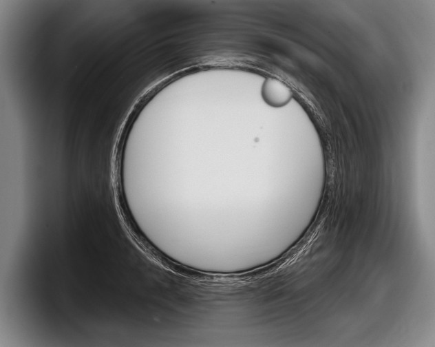 X0000097990848200803241020