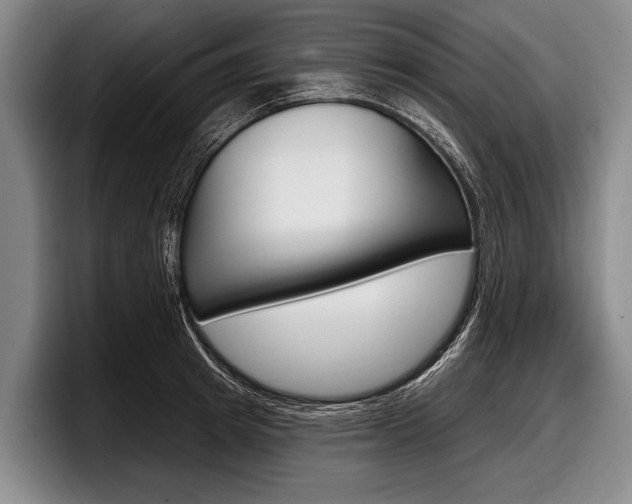 X0000097990849200803241020