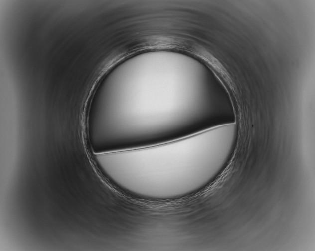 X0000097990850200803241020