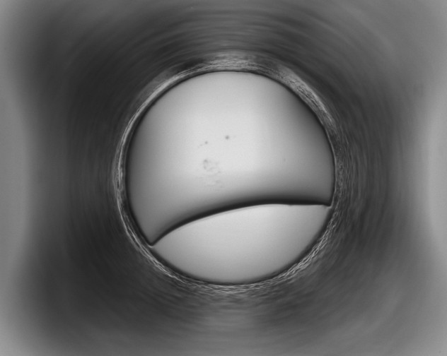 X0000097990852200803241020