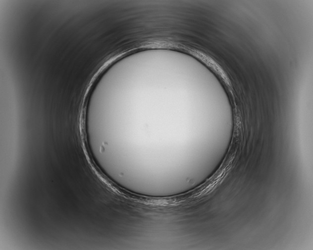 X0000097990855200803241020