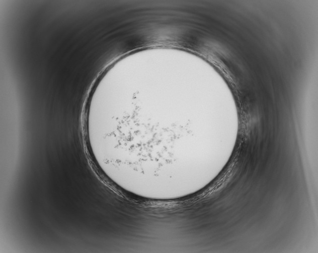 X0000097990856200803241020