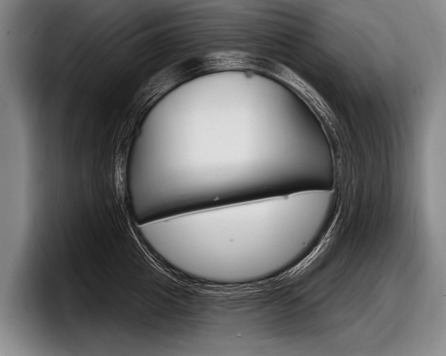 X0000097990857200803241020