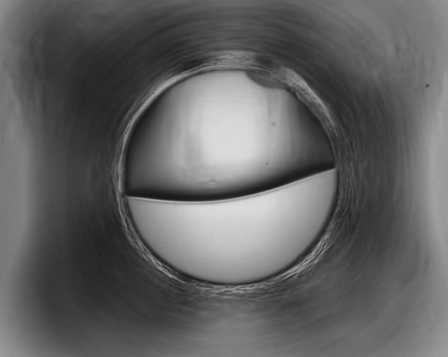 X0000097990860200803241020