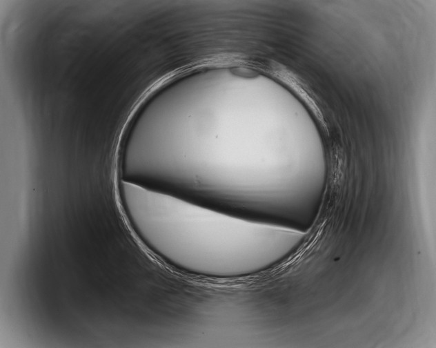 X0000097990861200803241020