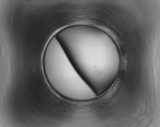 X0000097990862200803241020