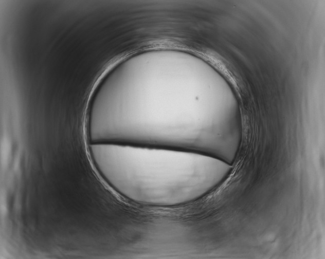 X0000097990863200803241020