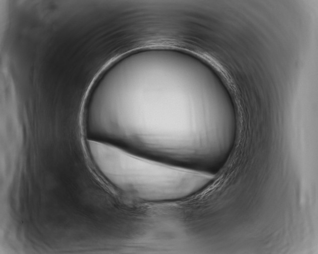 X0000097990864200803241020