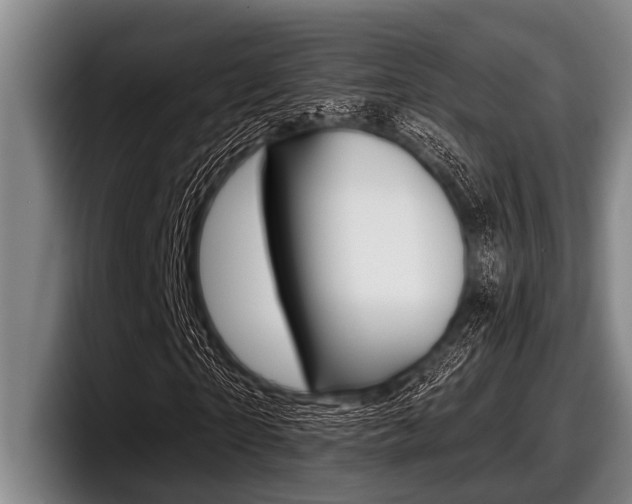 X0000097990865200803241020