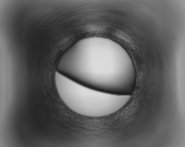 X0000097990869200803241019