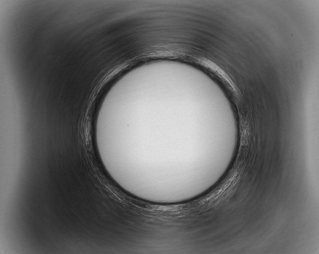 X0000097990874200803241019