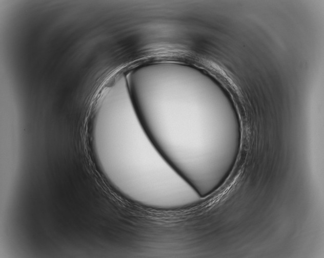 X0000097990875200803241019