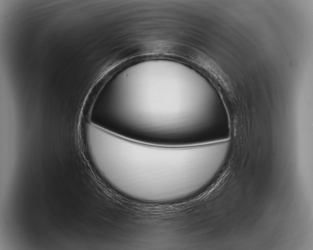 X0000097990876200803241019