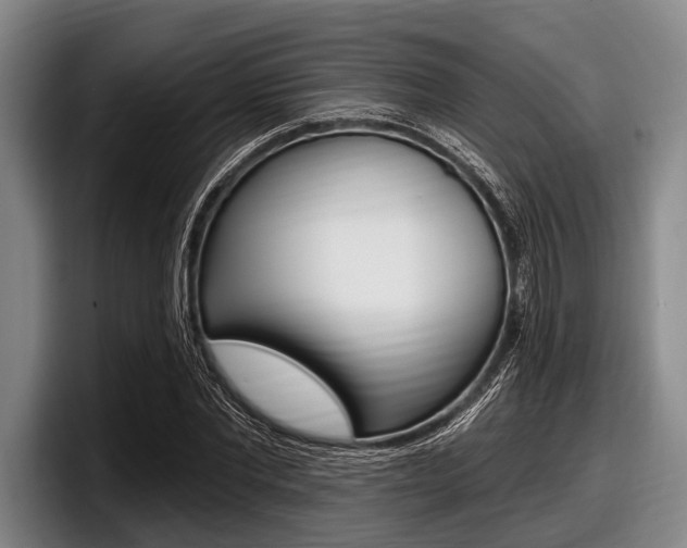 X0000097990877200803241019