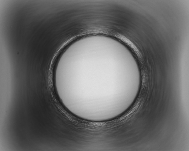 X0000097990878200803241019