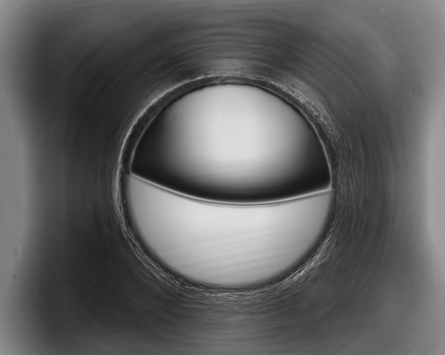 X0000097990880200803241019