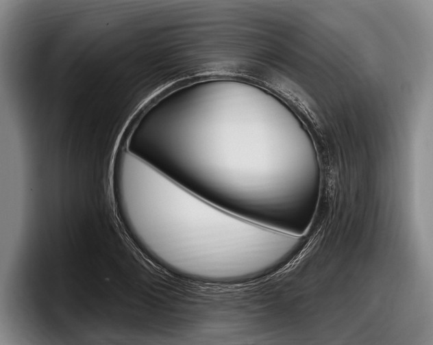 X0000097990884200803241019