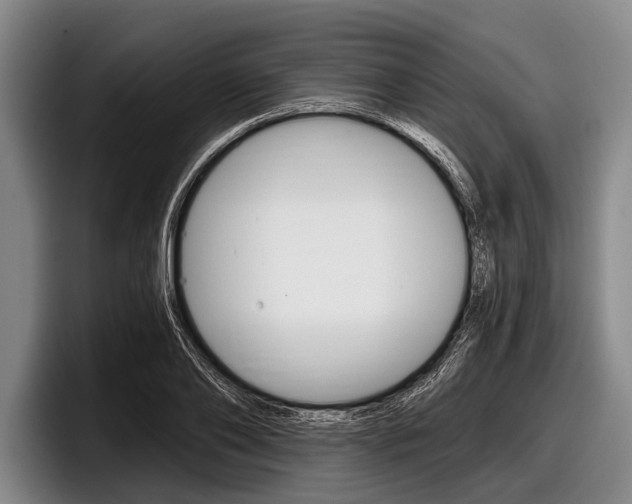X0000097990886200803241019