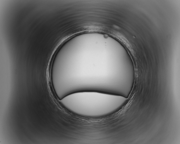 X0000097990891200803241019