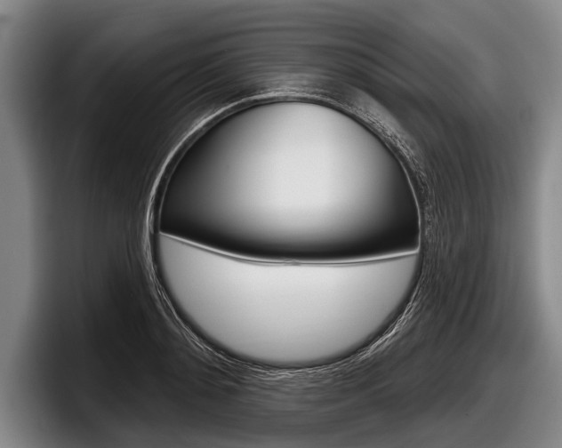 X0000097990892200803241019