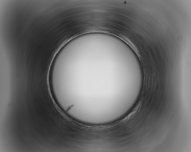 X0000097990893200803241019