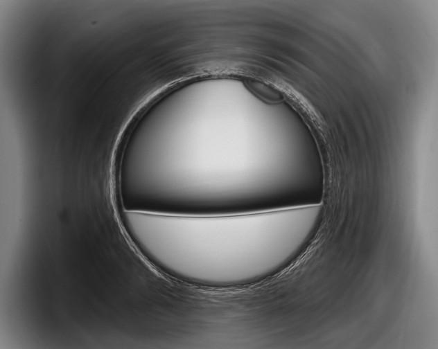 X0000097990894200803241019